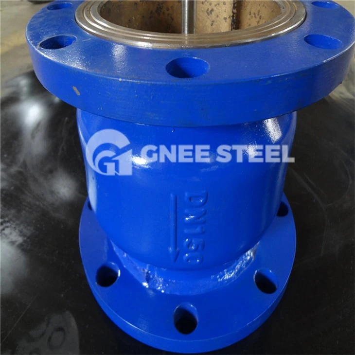 Spring-loaded Check Valves
